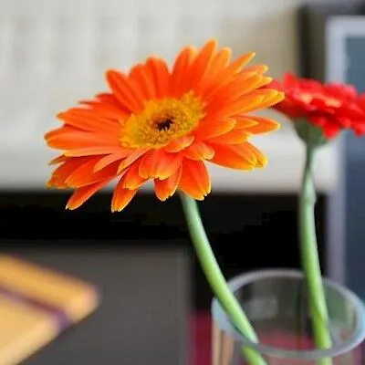كلاسيك فندق 3*